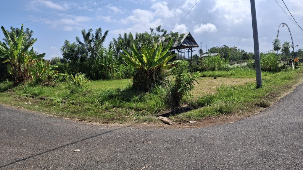 tegal badeng 1 tegal badeng 1